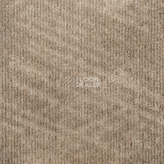 Ковровая плитка Art Exposure Коллекция Academic View Academic View 853 фото 1 | FLOORDEALER